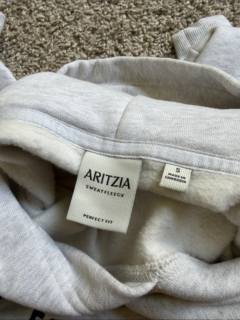 Aritzia Perfect Fit Hoodie - Picture 2 of 3